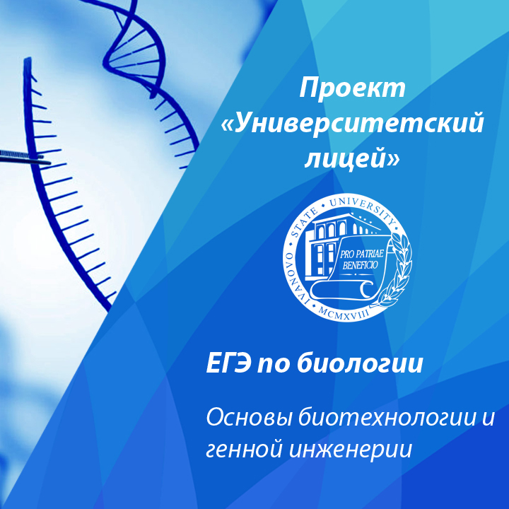 Генетика подготовка к егэ презентация