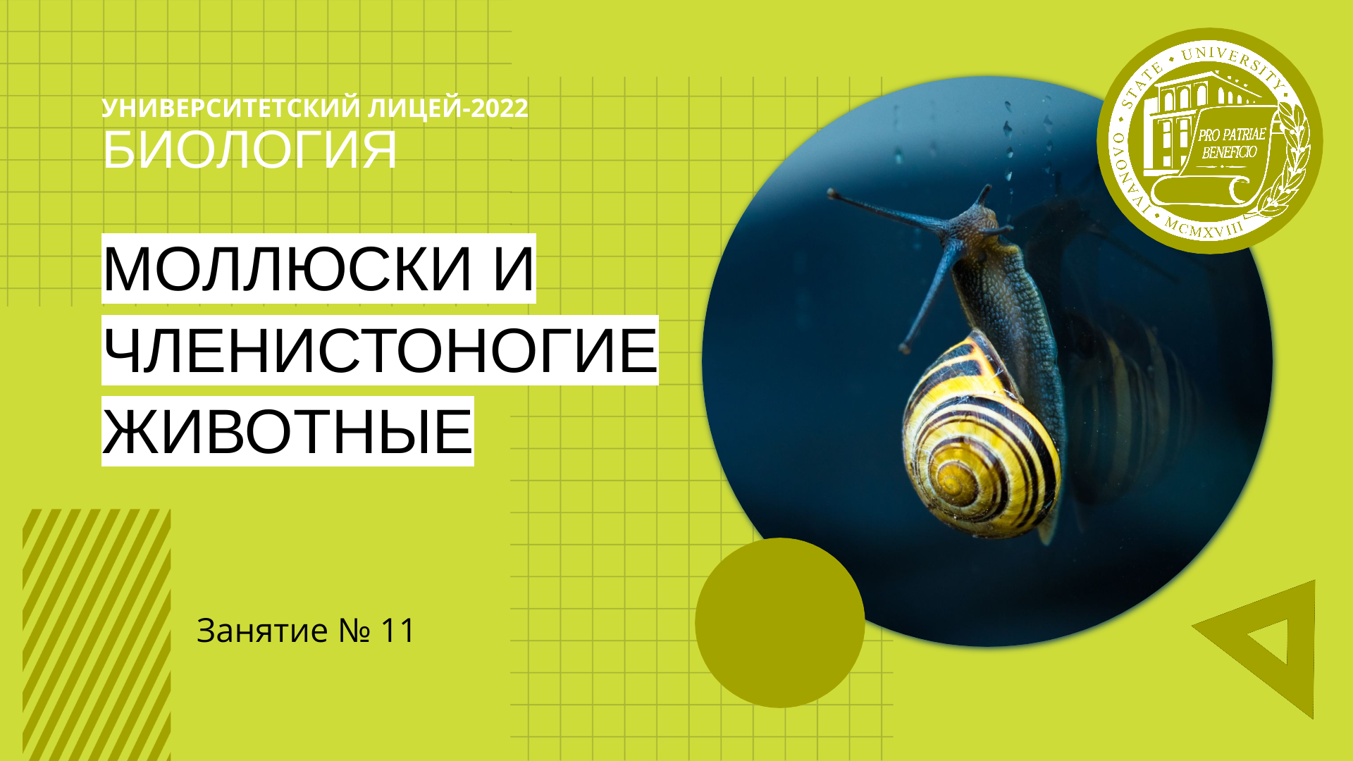 ЕГЭ по математике. Занятие 11. Задачи с экономическим содержанием (вклады,  кредиты) – Гид абитуриента